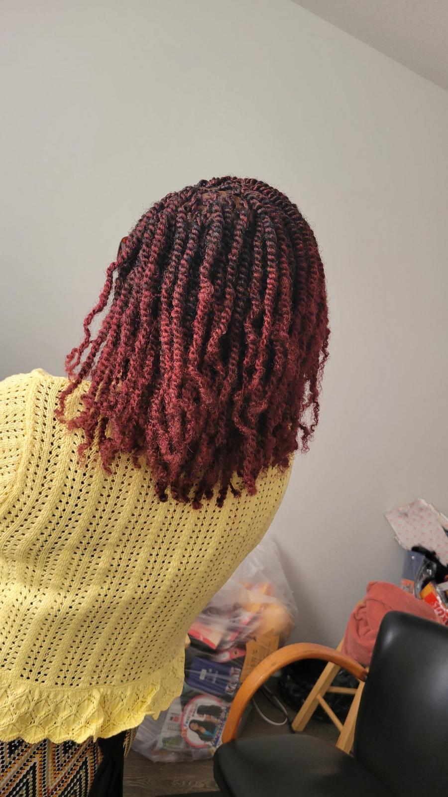 Spring twists in burgundy, shoulder length, back view