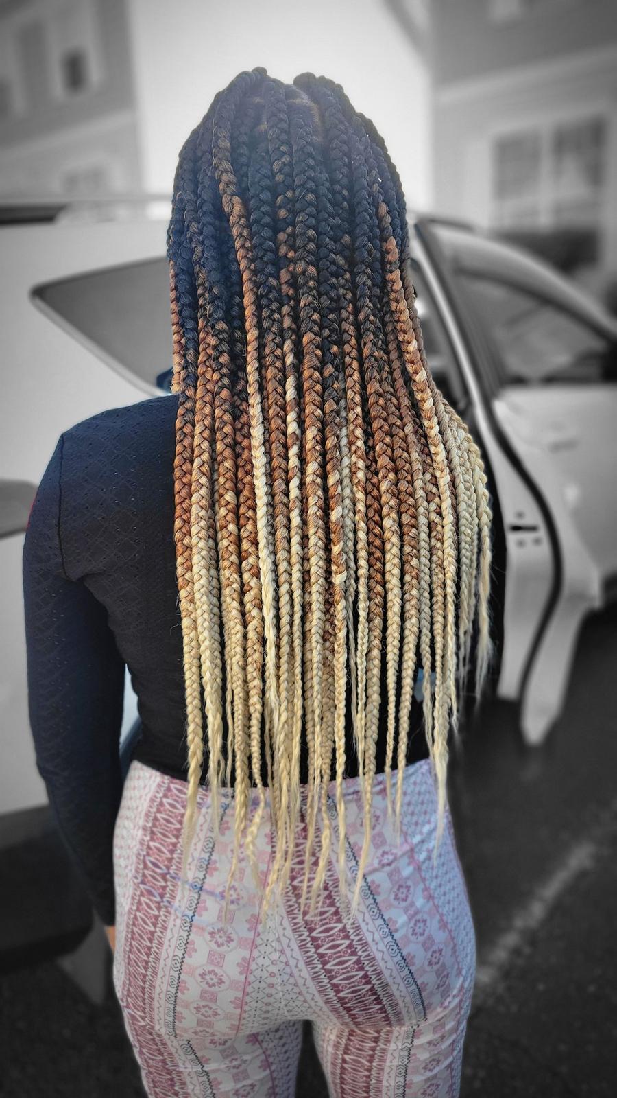 Braided hairstyle by Kristyna